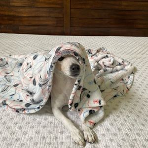 Meet your Posher, Thomas